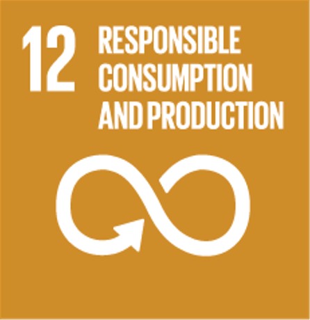 SDG12