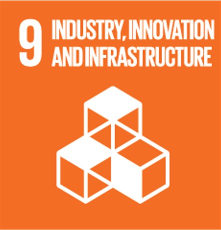 SDG9