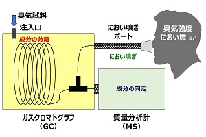 樋口　隆哉